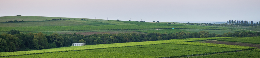 Долина Лефкадия