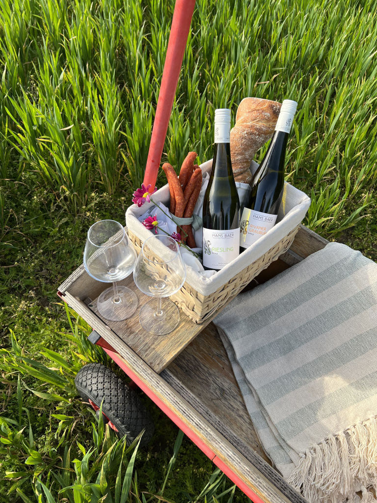 Медведи (и вина), которые стали любимыми