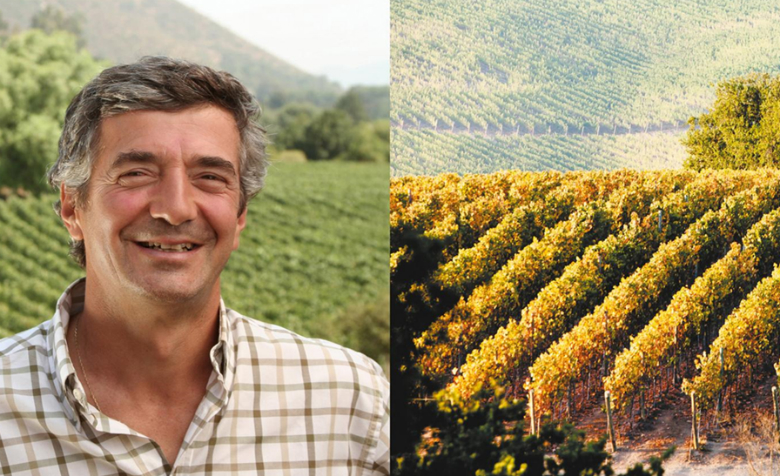 Эдуардо Чедвик и виноградники