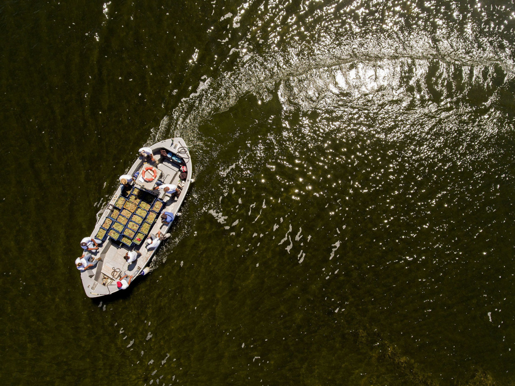 О любви к природе