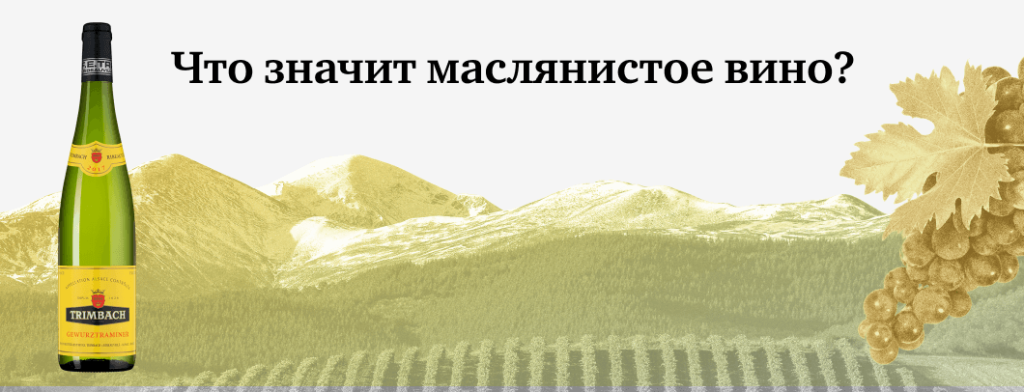 Какое вино называют «маслянистым»?