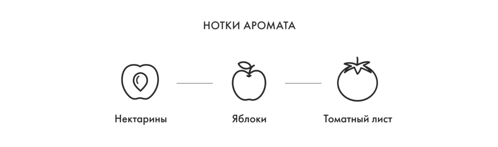 Нотки аромата