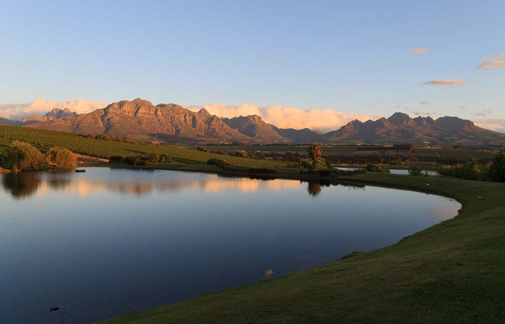 Пинотаж или эрминуар