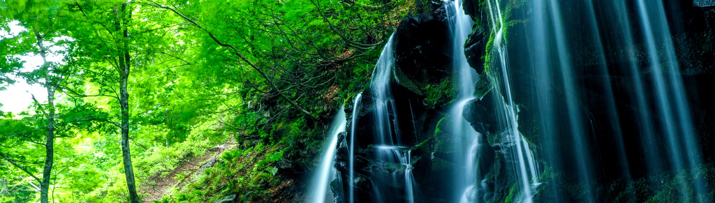 Префектура Хёго