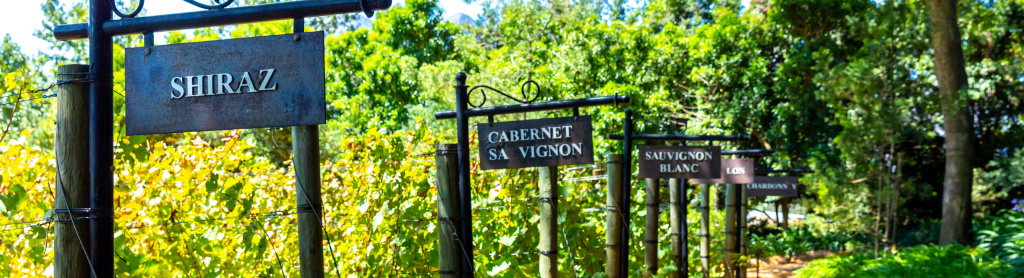 Сорта и винные категории ЮАР