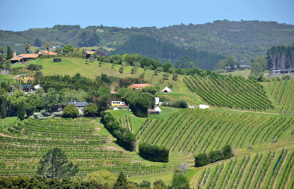 Новая Зеландия