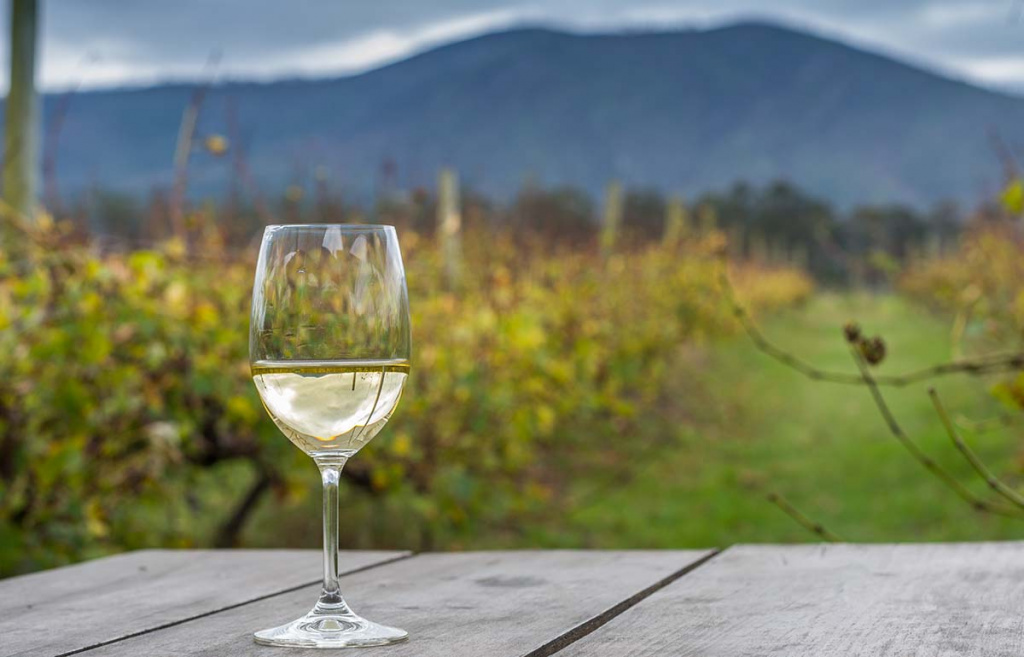 Южная Африка