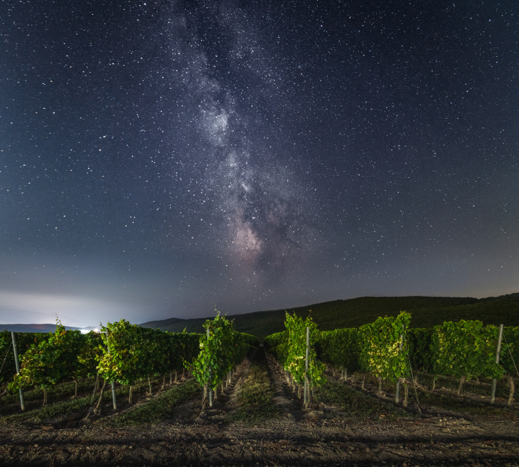 Скалистый берег