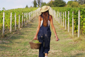 Девушка на винограднике