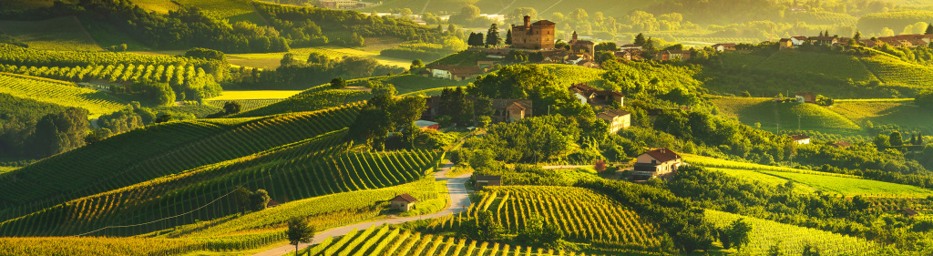 Классика Бароло