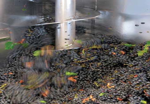 Дробление красного