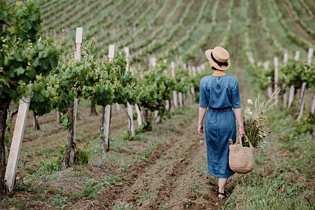 Виноградник "Золотая Балка"