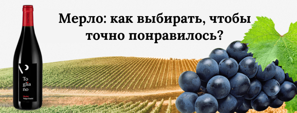 Мерло: как выбирать, чтобы точно понравилось?