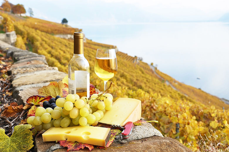 Вино и гастрономическое сопровождение
