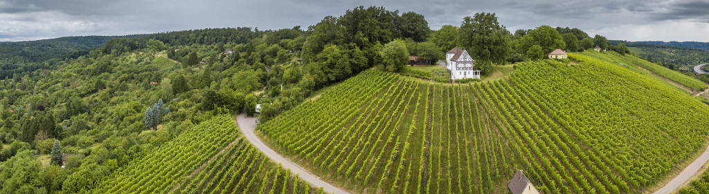 Серьезный немецкий рислинг