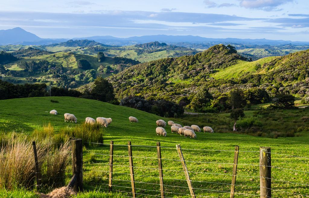 Особенности индустрии