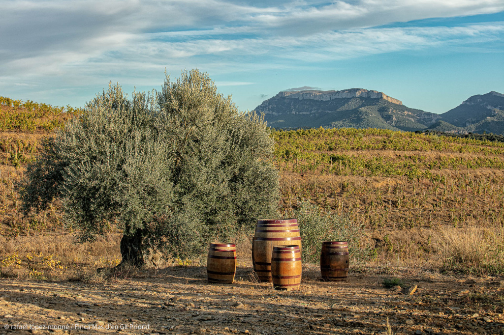 Приорат. Хозяйство