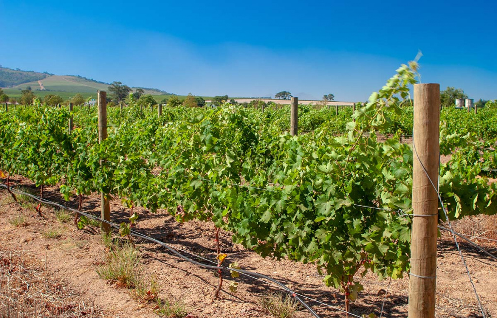 Попасть в высшую лигу