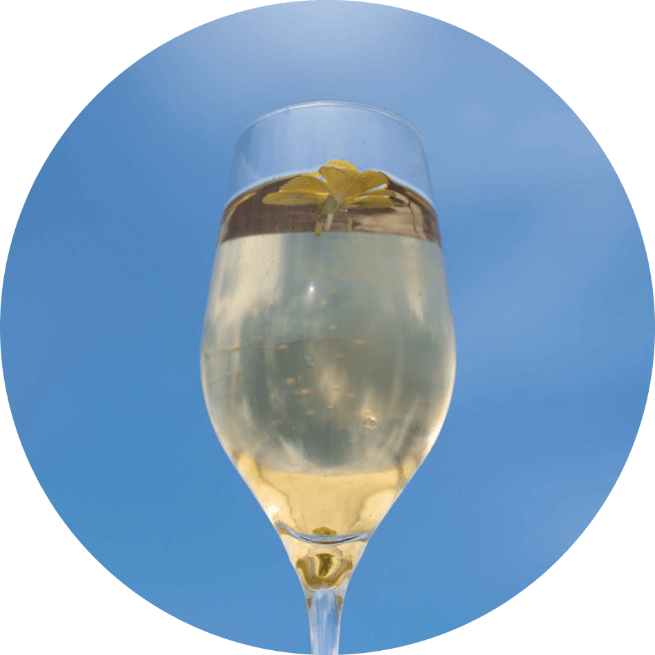 Golden Mandarine («Золотой мандарин»)