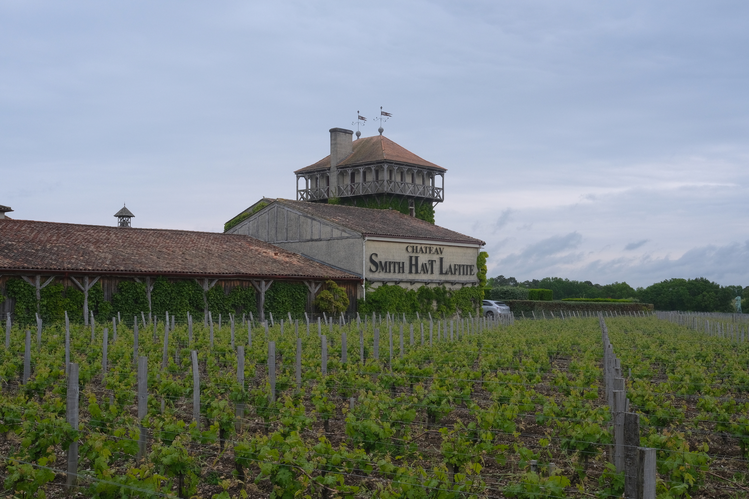 Каким получилось вино