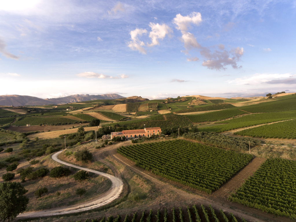 Монреале: место, где сира становится «принцем холмов»