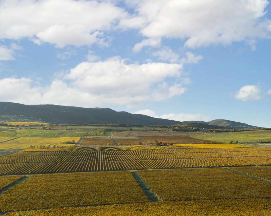 Три фактора успеха