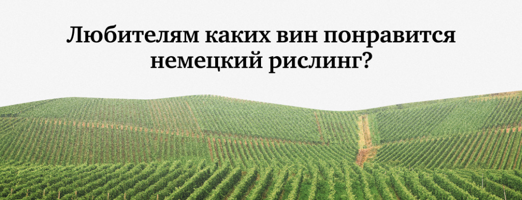 Любителям каких вин понравится немецкий рислинг?