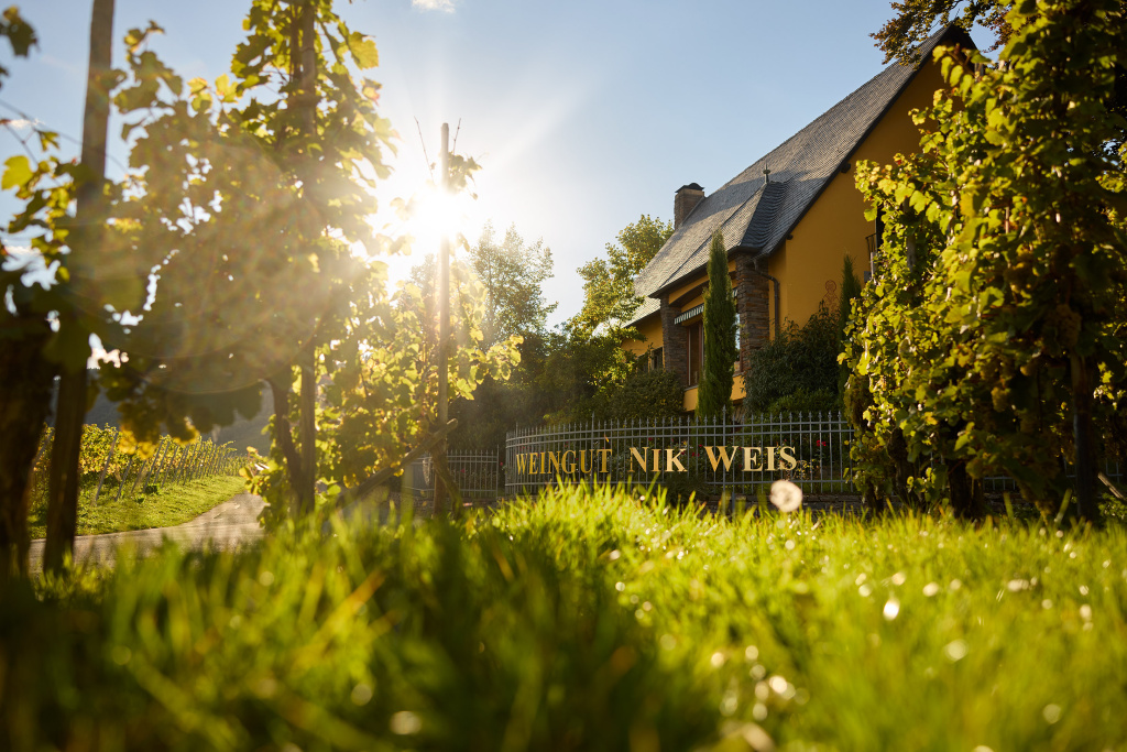 Интервью с виноделом Ником Вайсом