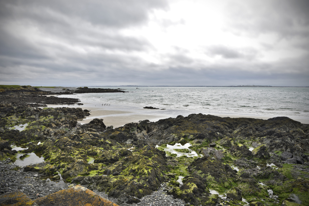 Lambay и его «заповедный» виски