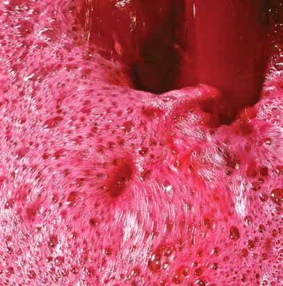 Молодое красное