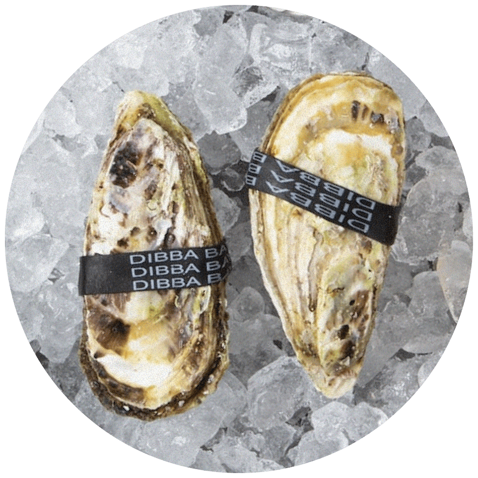 Дибба Бэй (Dibba Bay)