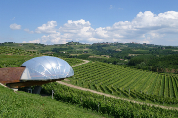 Винодельня Ceretto