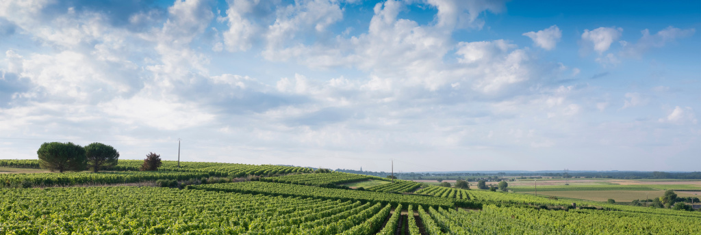 Бонжур, Анжу