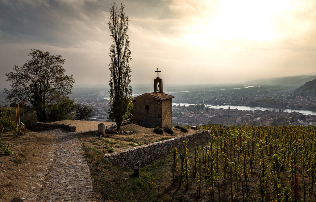 Вионье во Франции