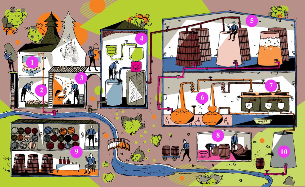 Стадии производства шотландского виски