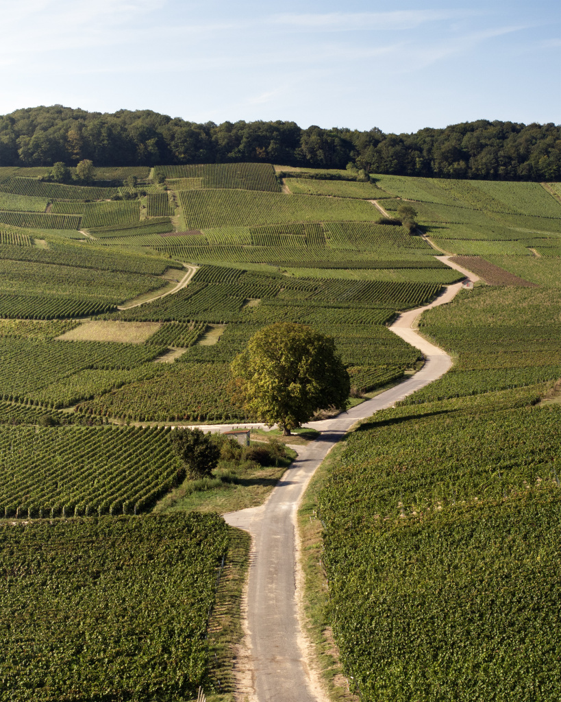 Шарль Хайдсик