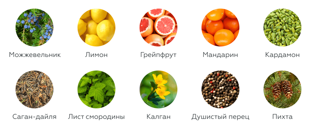 10 натуральных ботаникалов