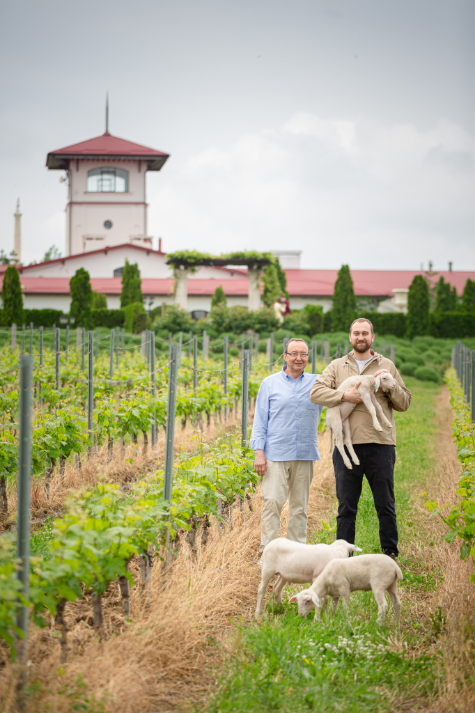 Михаил Николаев
