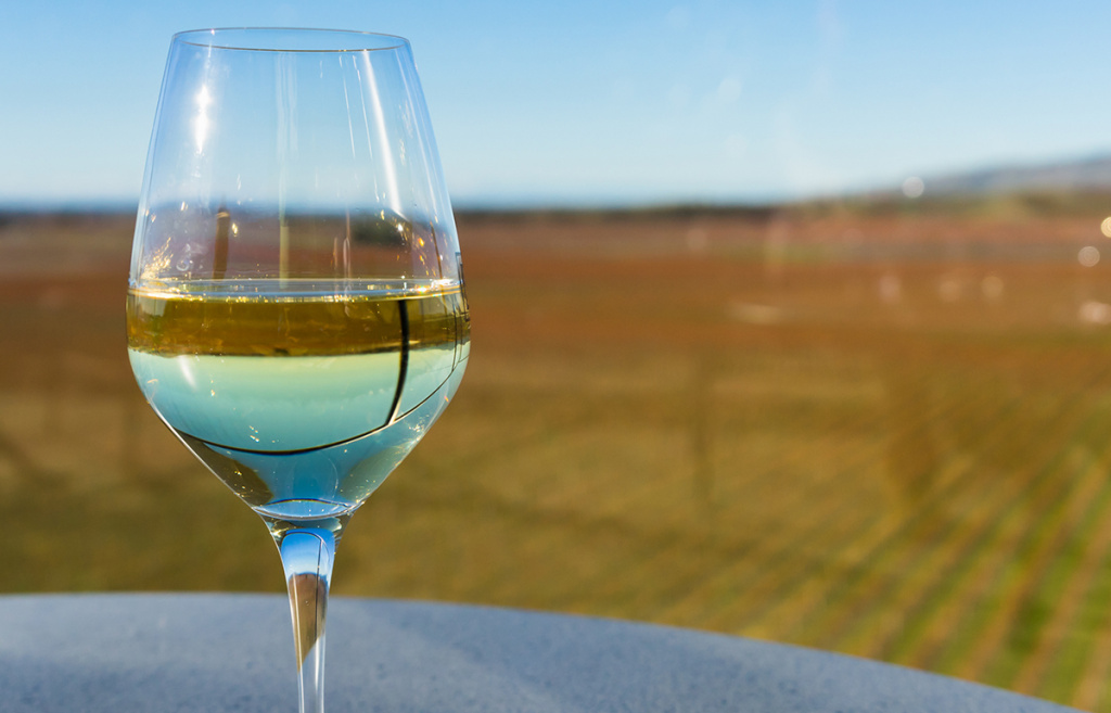 Сорта винограда