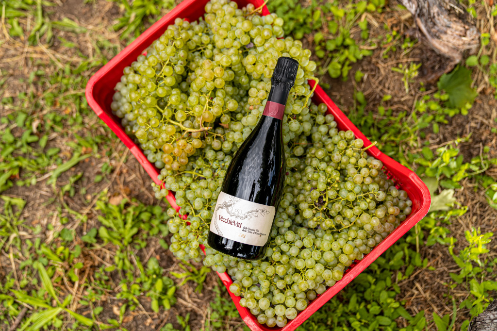 Просекко — такое же вино территории, как и шампанское