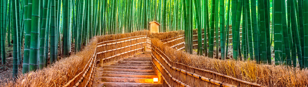 Префектура Киото