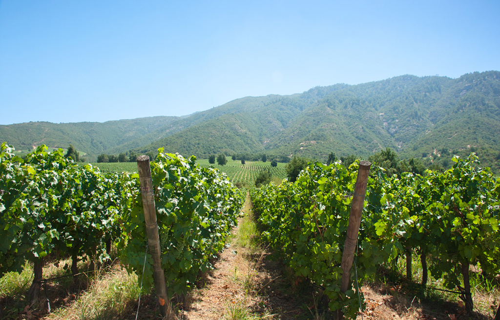 Характеристики