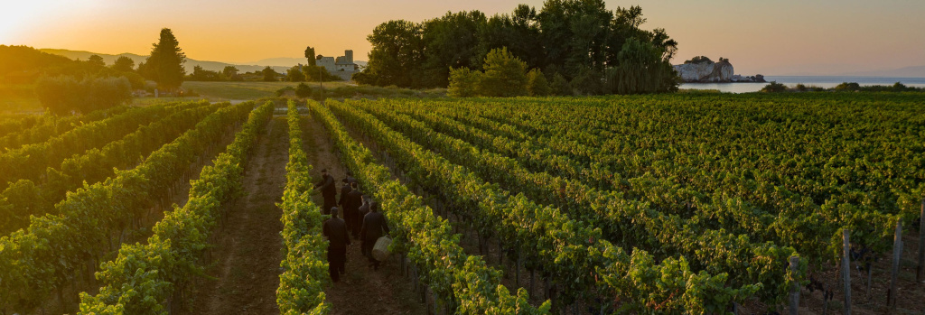 Вина с Афона