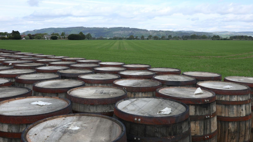 Виски-вселенная Morrison