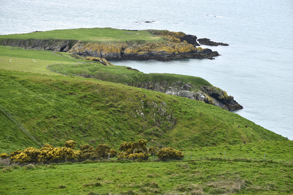 Lambay и его «заповедный» виски