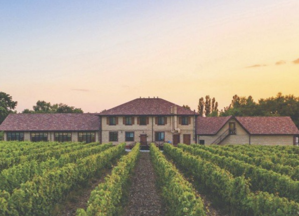 Винотеррия