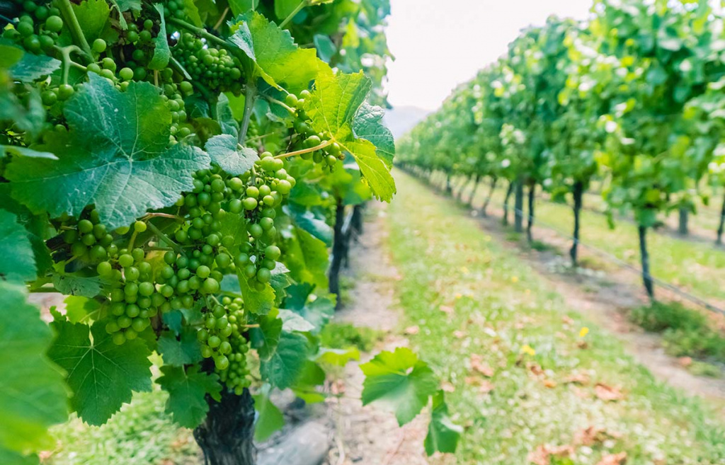 Характеристики