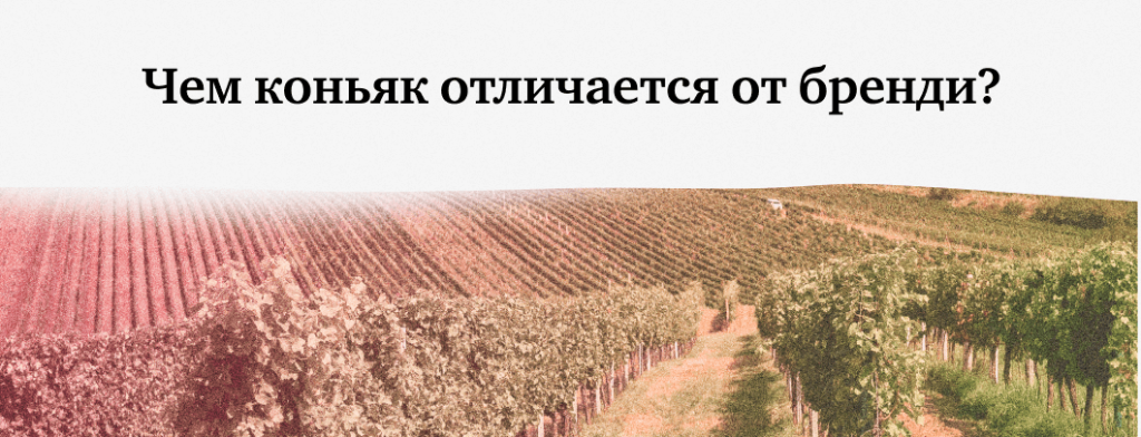 Чем коньяк отличается от бренди?