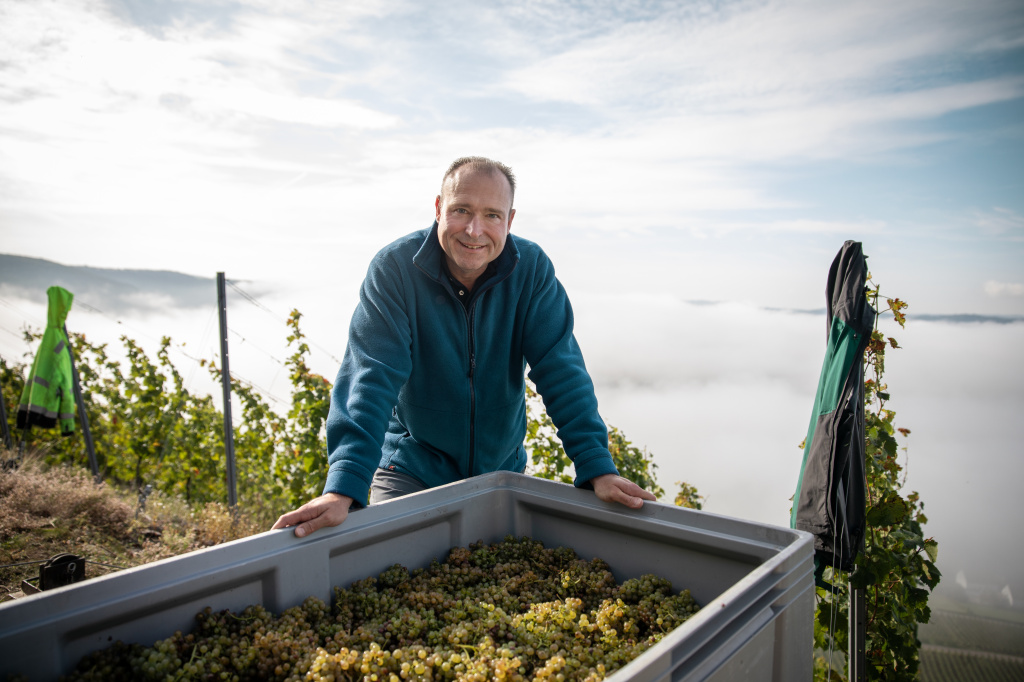 Интервью с виноделом Ником Вайсом