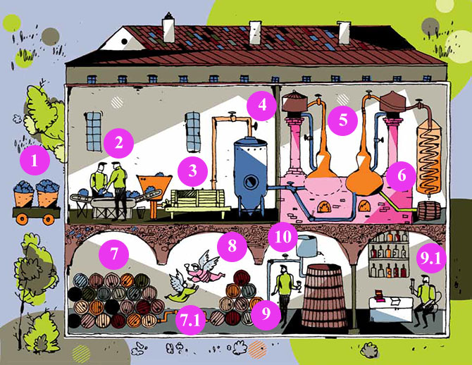 Технология производства коньяка